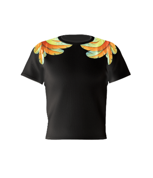 BLACKICARO men's t-shirt